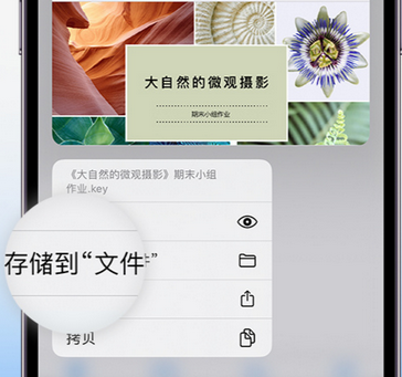 平山apple维修中心分享iPhone文件应用中存储和找到下载文件