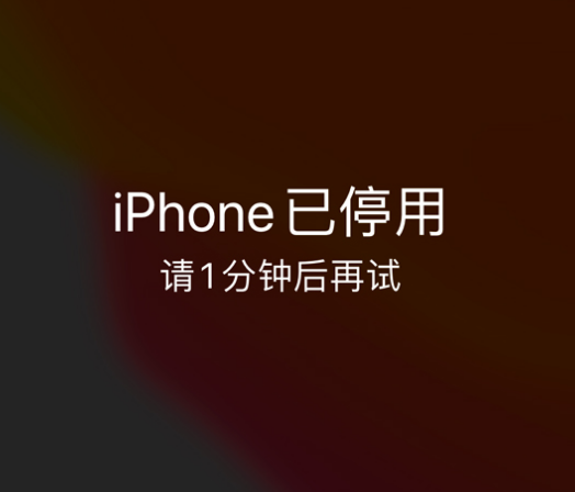 平山苹果手机维修分享:iPhone 显示“不可用”或“已停用”怎么办？还能保留数据吗？ 