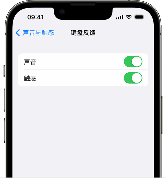 平山苹果14维修店分享如何在 iPhone 14 机型中使用触感键盘 