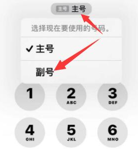 平山苹果14维修店分享iPhone 14 Pro Max使用副卡打电话的方法 