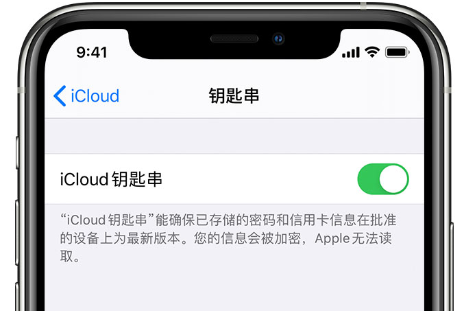 平山苹果手机维修分享在 iPhone 上开启 iCloud 钥匙串之后会储存哪些信息 